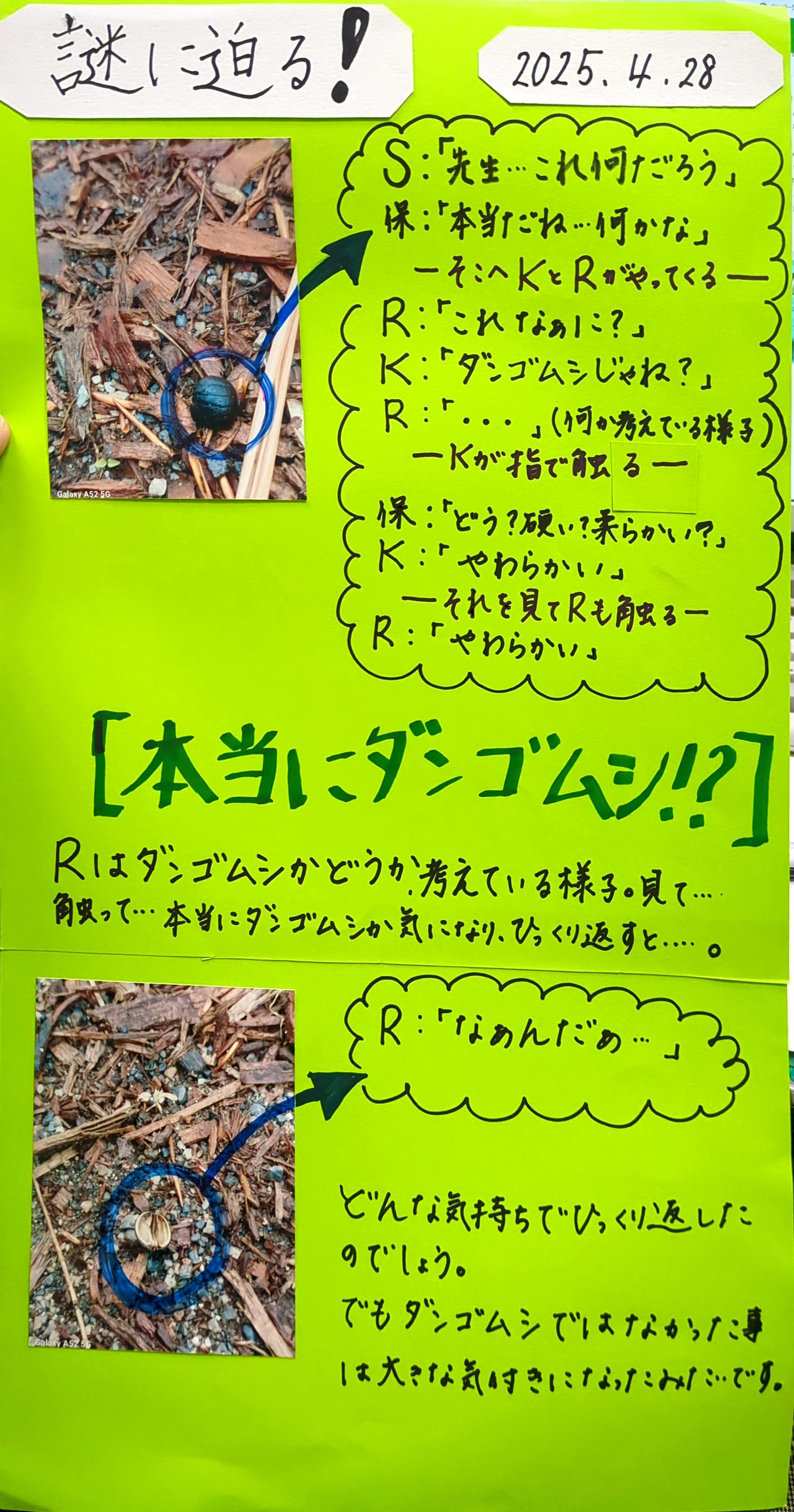 《謎に迫る！本当にダンゴムシ？》